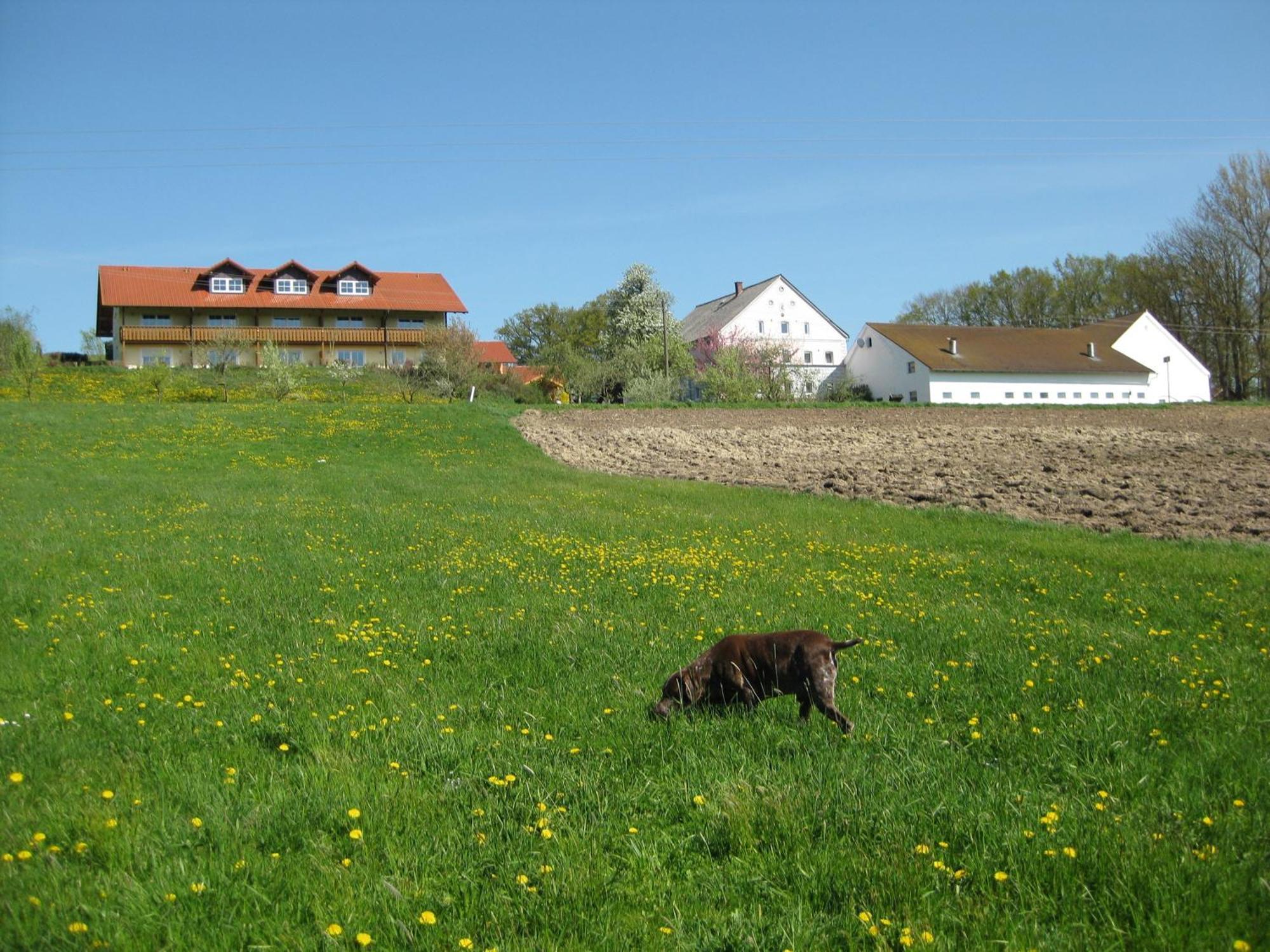 Ferienhof Rieger Rotthalmuenster Экстерьер фото